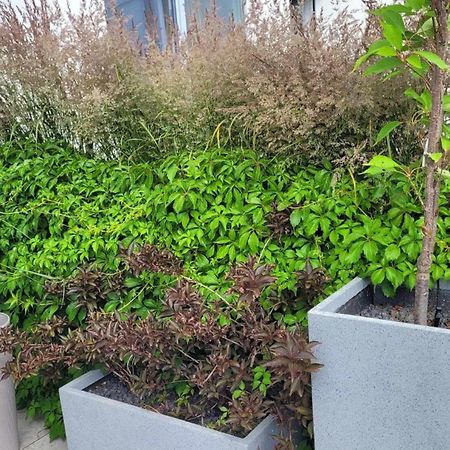 Apartament Przy Plazy W Redlowie Gdynia Zewnętrze zdjęcie